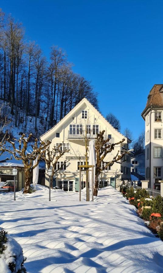 Apartment Meinradsberg Mit Balkon Айнзидельн Экстерьер фото